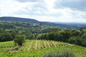 Gîte en provence au coeur des vignes, Villedieu-Les-Poêles